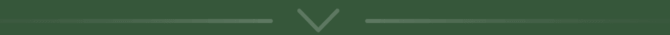 Divider Line Accent